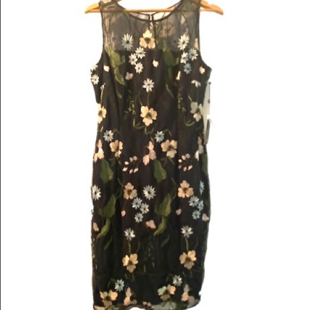 NWT Adrianna Papell, embroidered sheath.